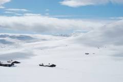 småroi-natur-snø